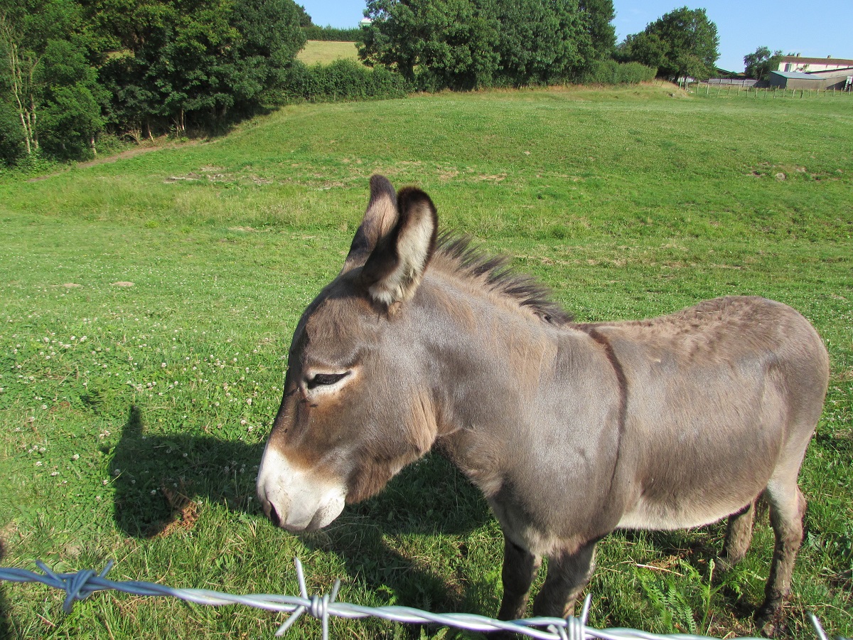 vendee gite reservation