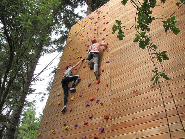climb-acrobranche free climb-acrobranche free