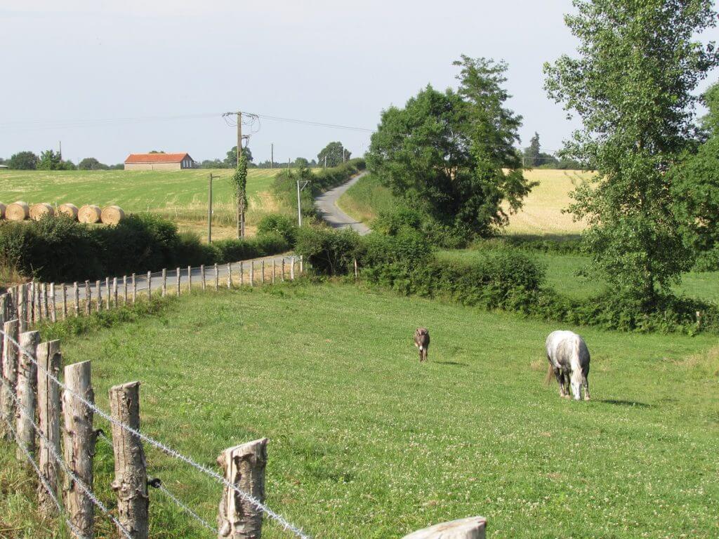CAMPAGNE-VENDEE-1024×768 CAMPAGNE-VENDEE-1024x768