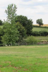 camping campagne bocage vendée au calme