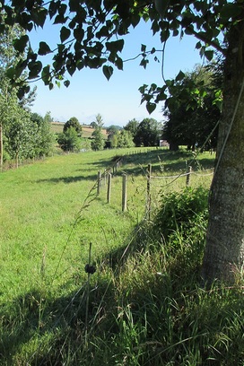 camping_ferme_puy_du_fou-hte1
