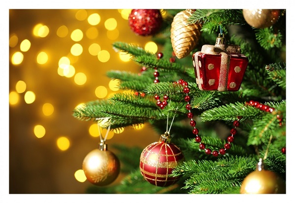 portes-ouvertes-noel-chanverrie-ferme des couts noel -chanverrie - portes ouvertes ferme des couts
