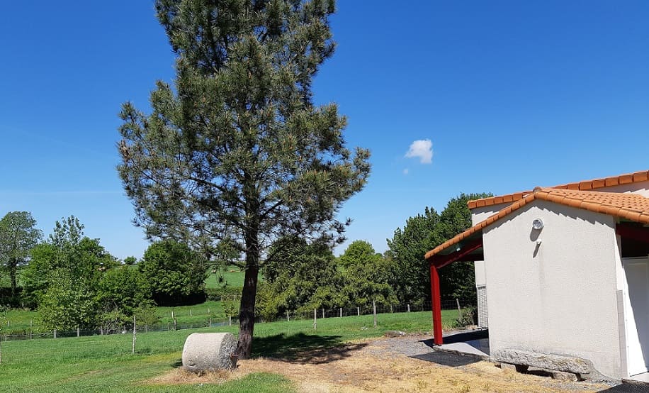 chanverrie camping vendee ferme