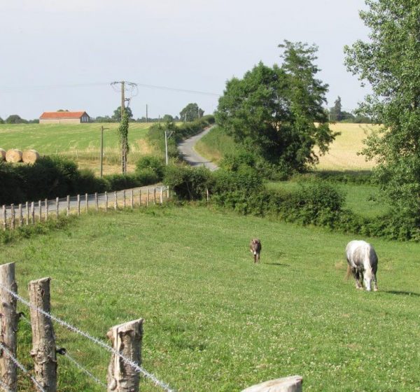 CAMPAGNE-VENDEE-1024×768 CAMPAGNE-VENDEE-1024x768