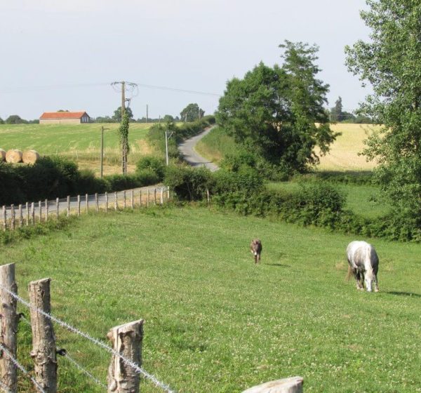 camping en campagne à la ferme visite animaux