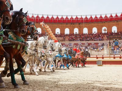 spectacle du grand parc Puy-du-fou